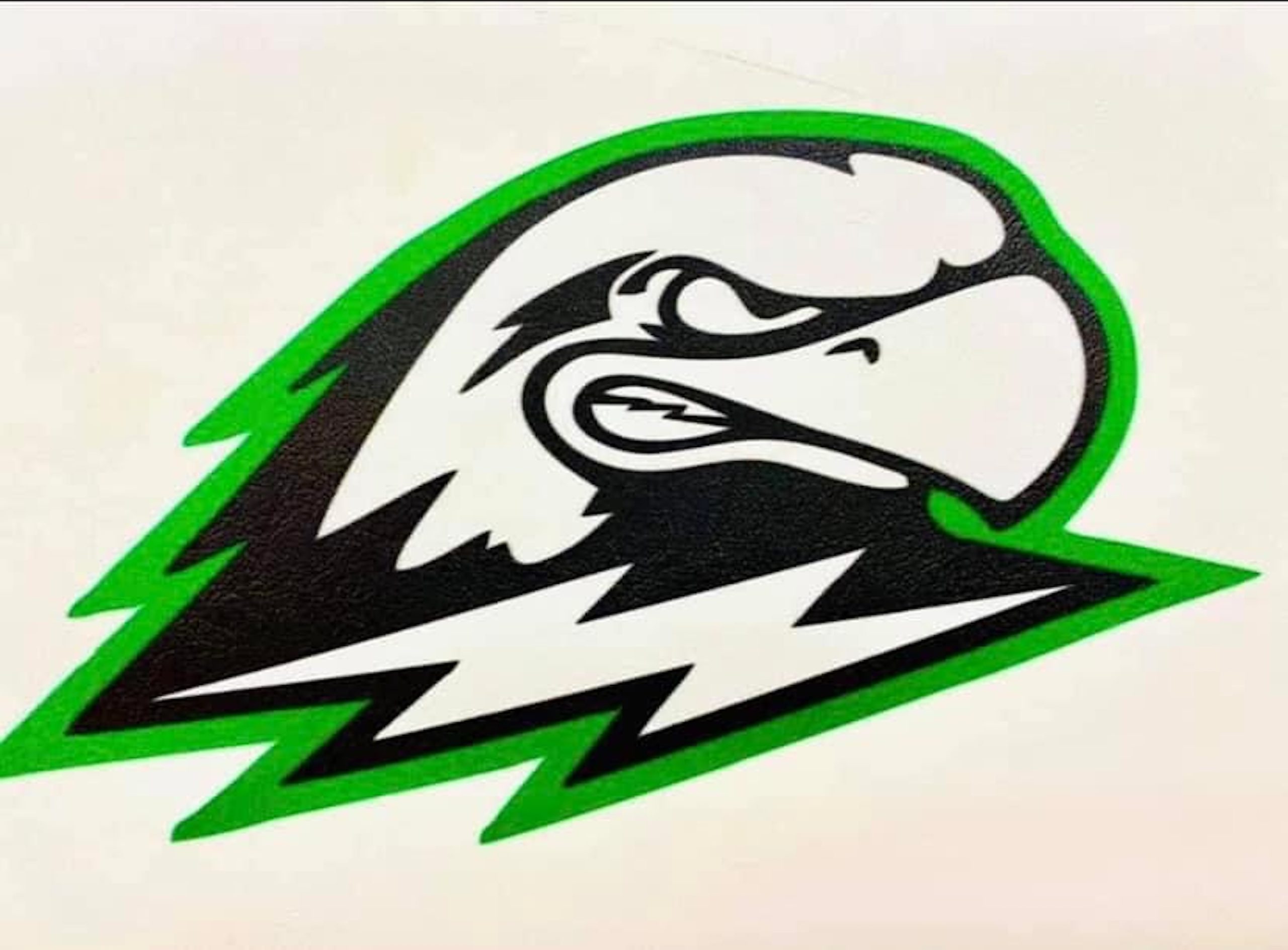 Ladybirds softball drops season opener